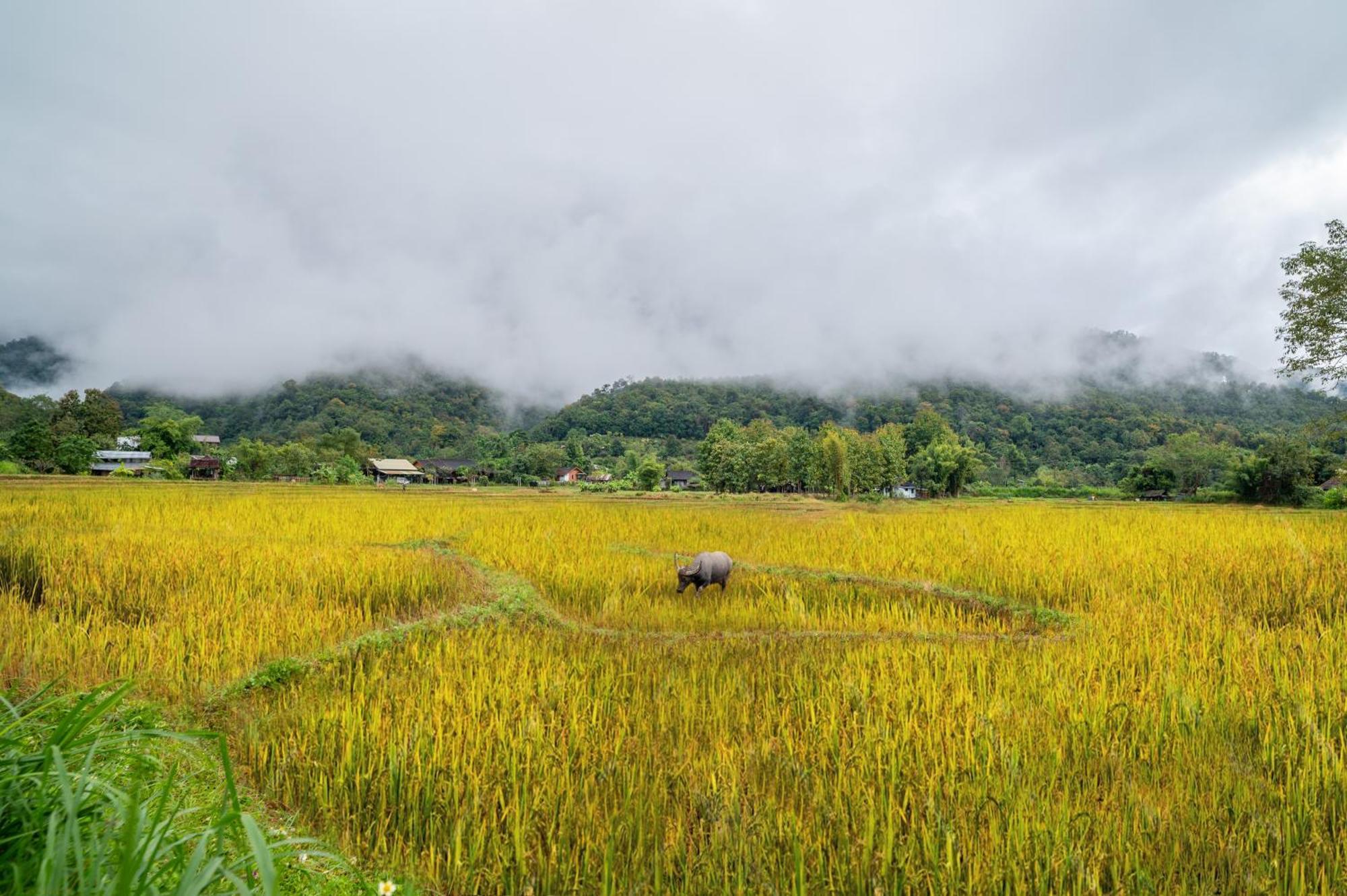 Luxury Farm House Pai Exterior photo